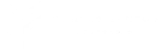 Montes Santos Advogados